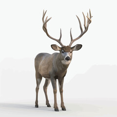 Deer isolated on a white background. 3d render illustration.