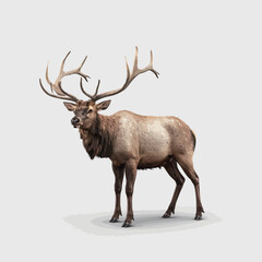 Moose with big antlers on white background. 3D illustration