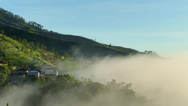 Foggy monring on the countryside. Slope of Mountain.