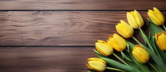 A copy space image featuring yellow tulips against a backdrop of wooden texture