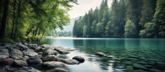 Naklejka premium European forest lake with a picturesque landscape as seen in the copy space image