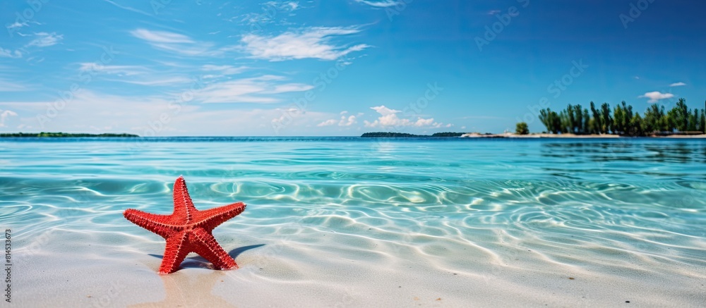 Poster A vibrant red starfish rests on a beautiful tropical beach creating a picturesque scene ideal for copy space images