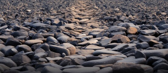 Obraz premium The road was made of black clay soils and small pebbles creating a sturdy and easily passable path. with copy space image. Place for adding text or design