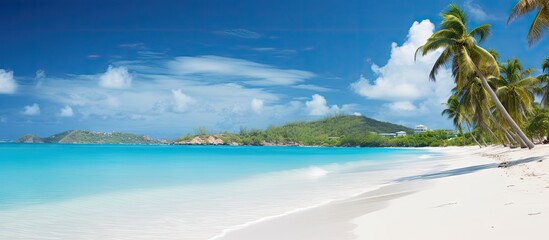 Naklejka premium An idyllic tropical scene at Turners Beach in Antigua with white sand turquoise water and a clear blue sky ideal for a copy space image