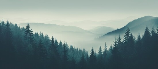 Obraz premium Vintage retro hipster style mountain landscape with a misty foggy atmosphere featuring a lush fir forest and ample copy space image