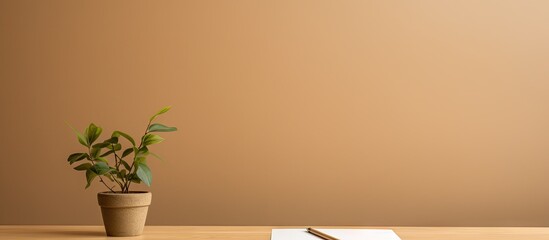 A brown paper pencil set for drawing on a minimal office desk with a plant and empty space for images. with copy space image. Place for adding text or design