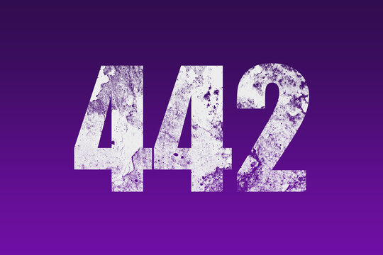 flat white grunge number of 442 on purple background.
