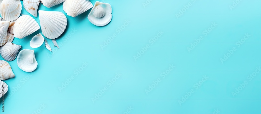 Poster Aesthetic monochrome flat lay with seashells on a turquoise background symbolizing summer Vacation concept captured from above with long shadows and copy space for images