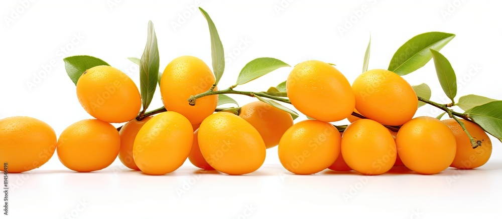 Aufkleber Ripe kumquats on a white background with plenty of copy space for adding text or other images