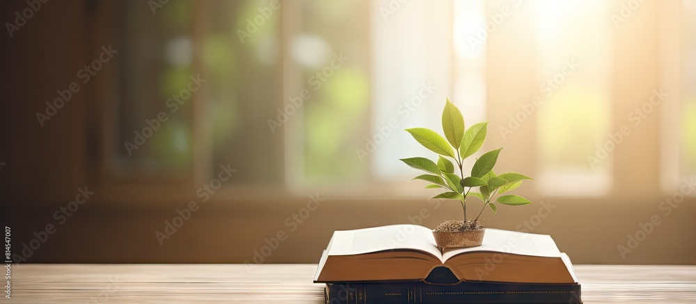 Poster Top view of an open empty book with an ornament plant on a stack of books in a library room The image includes copy space and text and represents the concept of back to school and education