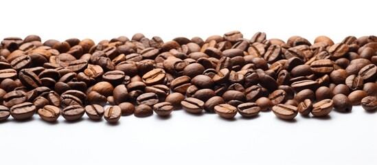 A copy space image featuring coffee beans that have been roasted and placed on a white background