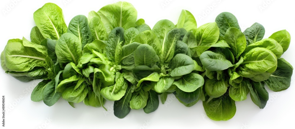 Aufkleber a top down view of a bok choy harvest with a white background and plenty of space for copies or othe