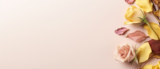 A flat lay view of three dry rosebuds surrounded by a frame of dried rose petals and green leaves The white and yellow background serves as a perfect copy space for your text