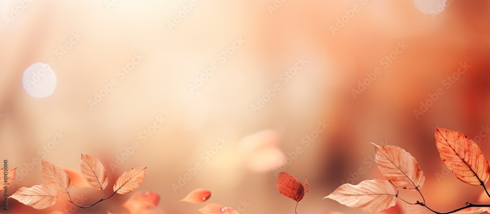 Poster A warm colored autumn background with dried leaves blurred bokeh and copy space image perfect for a banner