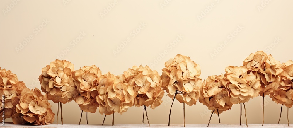 Aufkleber natural dried hydrangeas withered and arranged in a copy space image