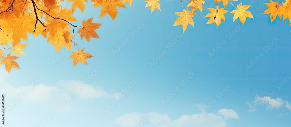 Poster a beautiful image of autumn yellow maple leaves falling against a clear blue sky creating a copy spa