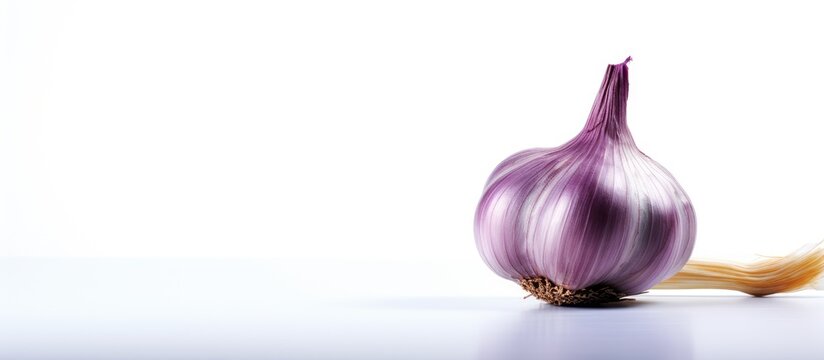 A horizontal copy space image featuring a white background with a purple garlic bulb and its individual cloves