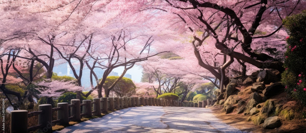 Aufkleber A serene image of cherry blossoms in Kamakura with plenty of empty space around them. with copy space image. Place for adding text or design