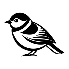 black and white bird