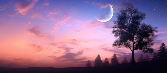 Fototapeta premium Twilight sky with a crescent moon adorned with sunset clouds and treetop silhouettes is captured in this copy space image