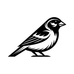 bird silhouette isolated on white