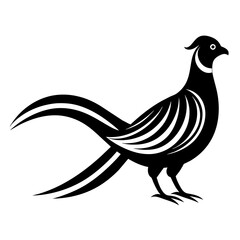 illustration of a pheasant bird