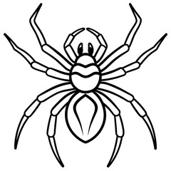 illustration of a spider