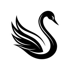 black swan vector illustration © Mithun