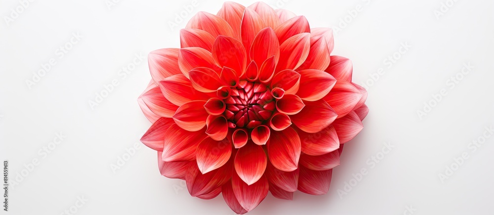 Poster a stunningly beautiful dahlia red flower on a white background creates a captivating copy space imag