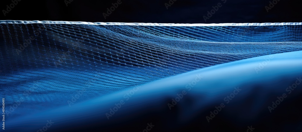 Leinwandbilder close up view of a table tennis net with a blue color providing ample space for copying images