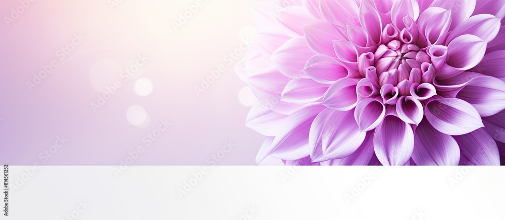 Poster the background of the template features a dahlia flower in purple and white surrounded by a square b