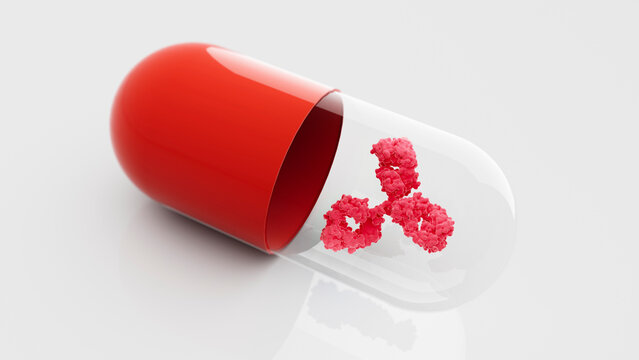 Therapeutic antibody, conceptual illustration