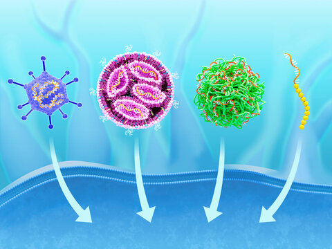 Carriers for mRNA vaccines, illustration