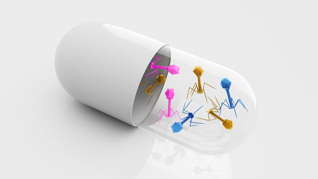 Phage therapy, conceptual illustration