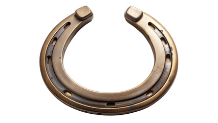 Horseshoe: Often hung above doorways with the ends pointing upward to catch and hold good luck, the horseshoe is a symbol of protection and good fortune in many cultures, particularly in Western tradi