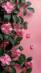 Pink Flowers and Green Leaves on a Pink Background