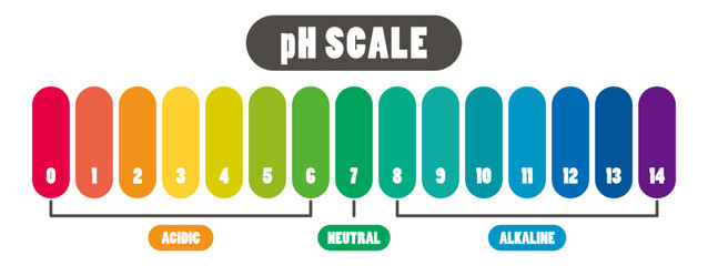 pH value scale chart for acid-alkaline solution. PH scale science design vector illustration. Colorful graph for test. Chart for the Acidic Neutral and Alkaline pH of various liquids and solvent.PH