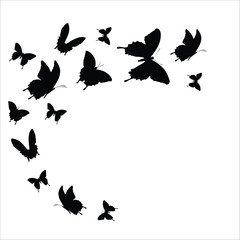 set of butterflies silhouette vector