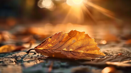 Close up photograph of a singular dry leaf. Generative AI