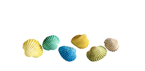 colorful shells