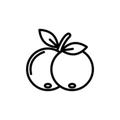 Cranberry line icon. Fruit icon. Cranberry icon isolated on white background. Transparent background, minimalist symbol. Vector images