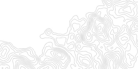 Vector geographic contour map. Topography map background. Black and white wave Seamless line. Topography relief. White wave paper curved reliefs abstract. © armans