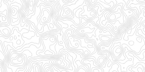 Vector geographic contour map. Topography map background. Black and white wave Seamless line. Topography relief. White wave paper curved reliefs abstract.