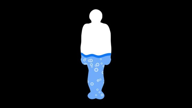 Water rate in the human body is seventy percent. Proportion H2O. Male silhouettes filled with water ratio. Health footage video animation.