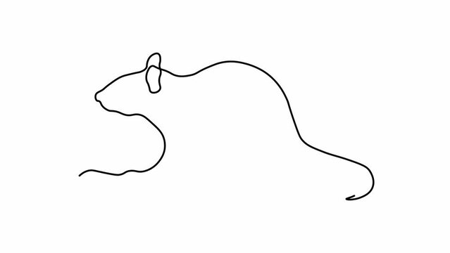 Self drawing animation one continuous line draw, logo,
rat,mouse
