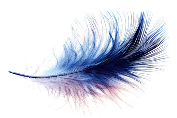 Obraz premium A feather with blue, pink and purple colors. The feather is long and has a lot of detail