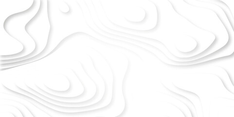 Abstract white paper cut background with lines. Background of the topographic map. White wave paper curved reliefs abstract background. Realistic papercut decoration textured with wavy layers.