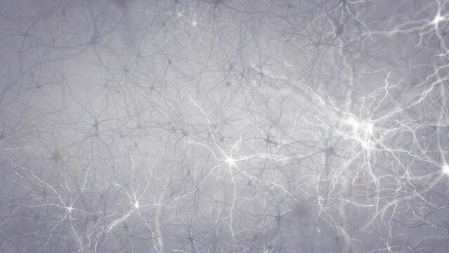 Neurons communicating via electrical signals and neurotransmitters a.k.a neuronal firing. Camera moving close to human brain nerve cells	
