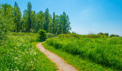 The edge of a canal in a rural area in springtime , Almere, Flevoland, The Netherlands, May 13, 2024