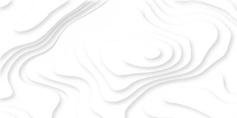 Abstract white paper cut background with lines. Background of the topographic map. White wave paper curved reliefs abstract background. Realistic papercut decoration textured with wavy layers.